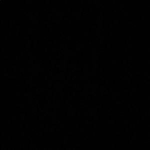 Meet your Posher, Dan